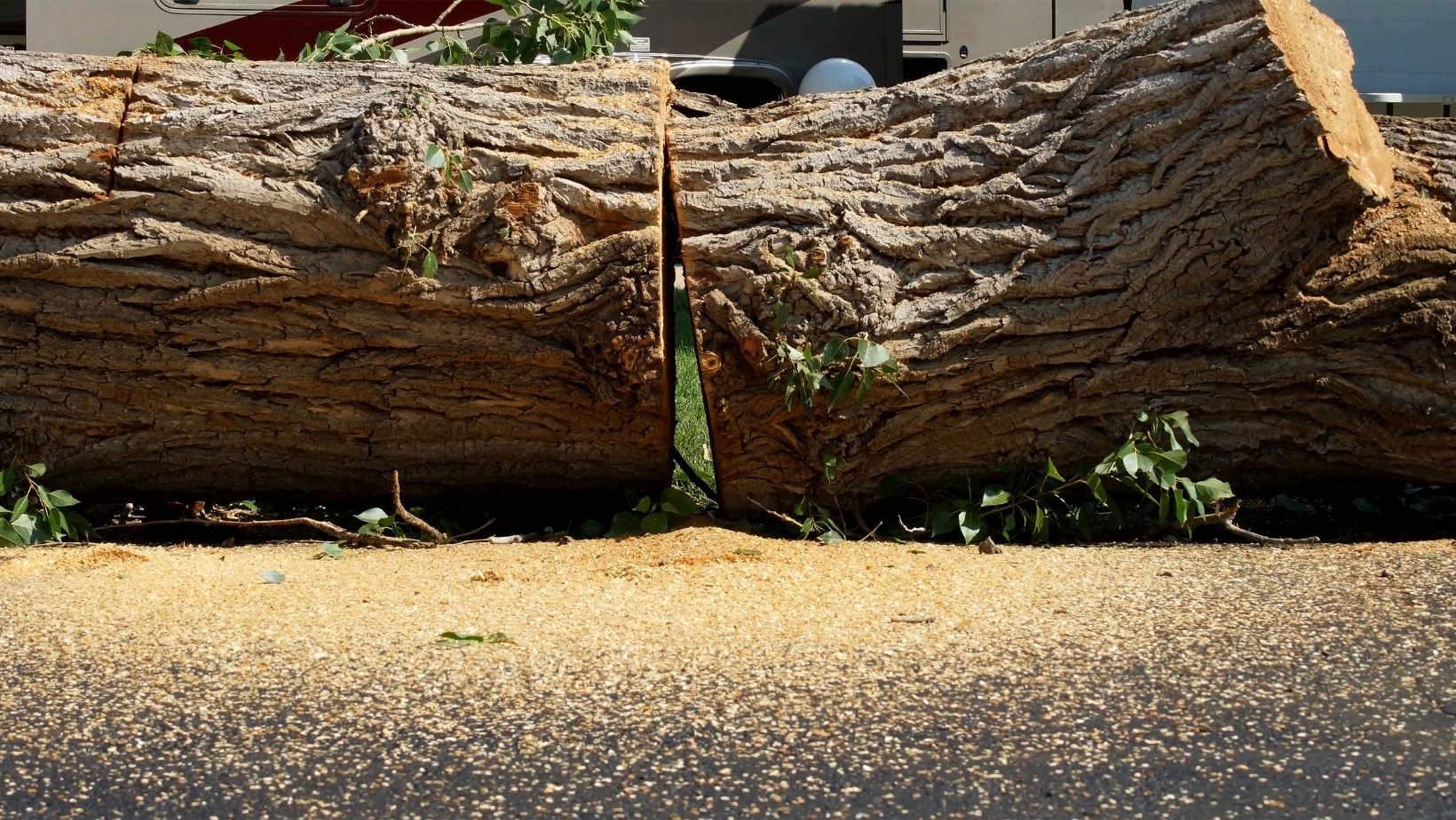 Photo of Dekalb Tree Service