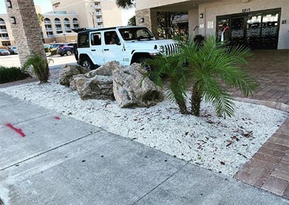 Perfect Leaf Management LLC tree service work