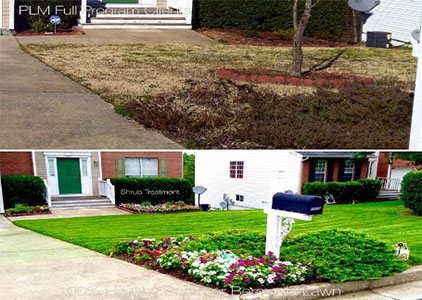 Perfect Leaf Management LLC tree service work