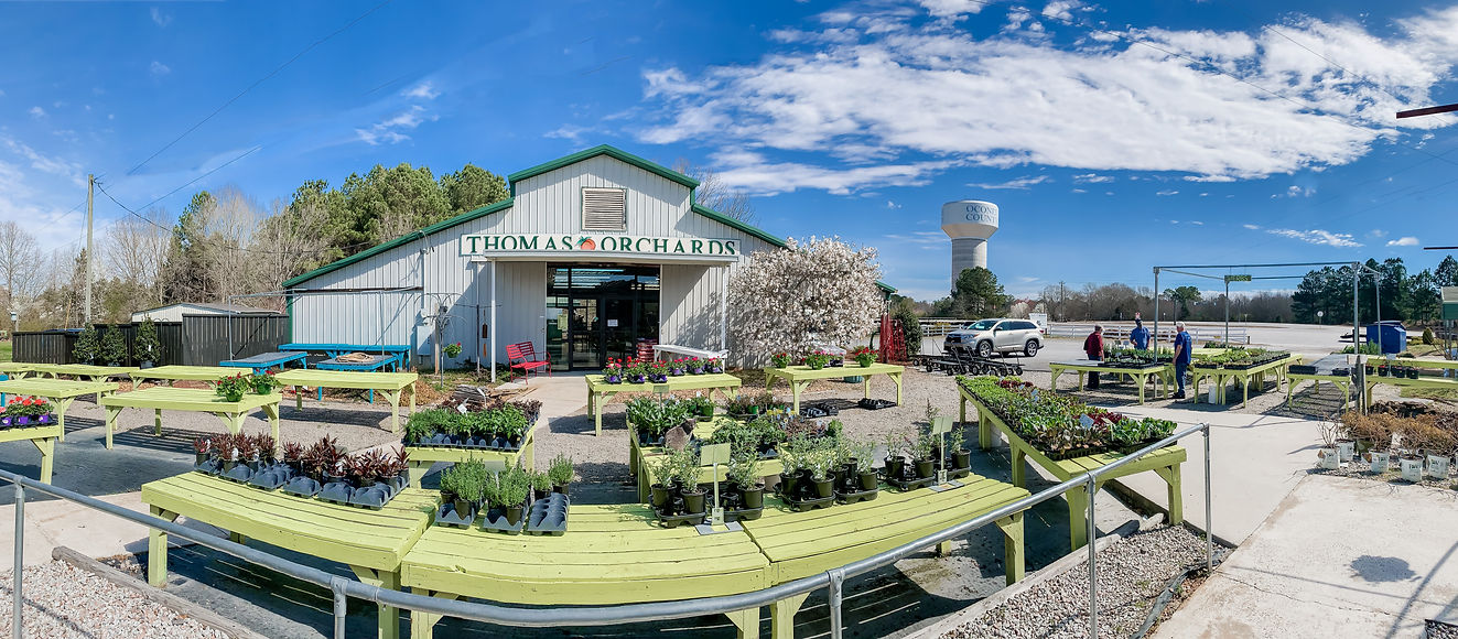 Photo of Farm 441