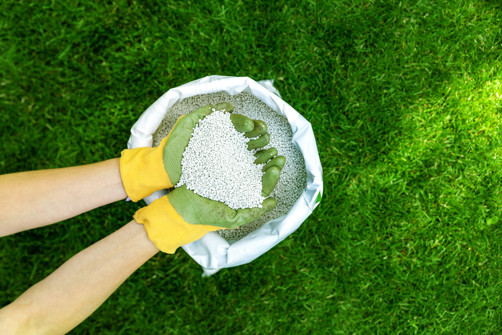 Axpert tree service tree service work