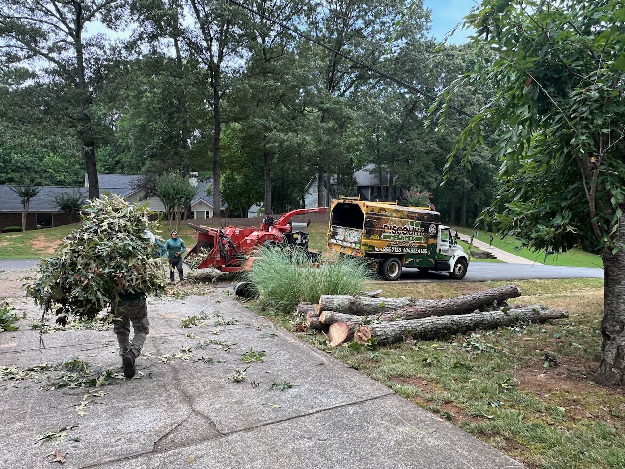 Tree removal