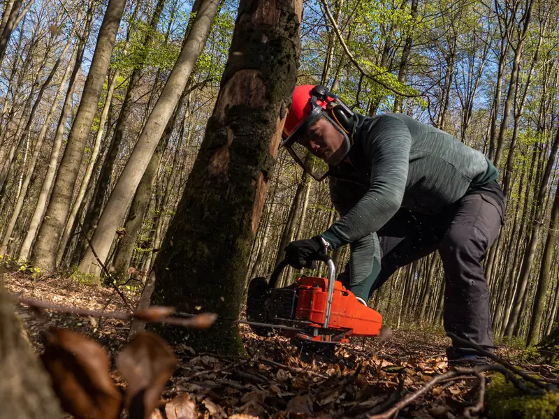Tree service md