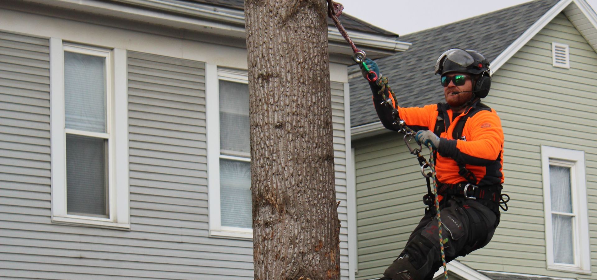 Photo of Clarkston Tree Service Pros