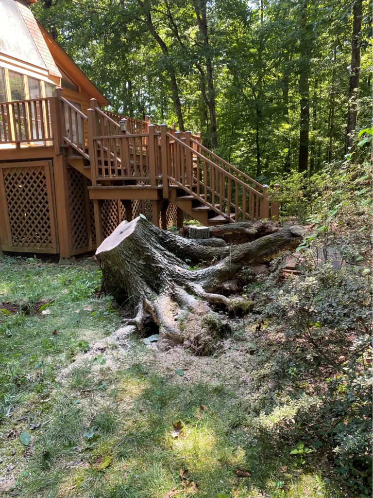 Image4