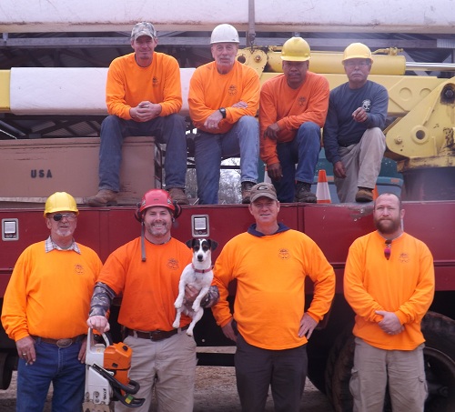 Photo of Tatum Tree Care and Removal