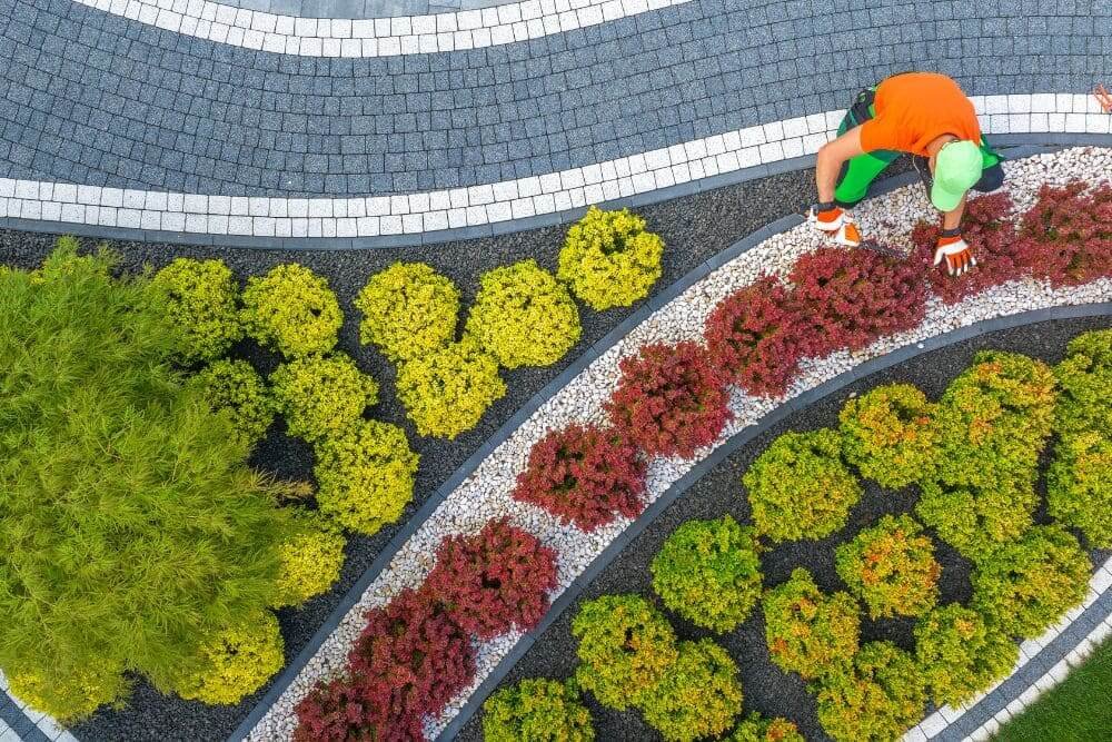 Gardener shaping back yard garden plants using a t RPYEYK6