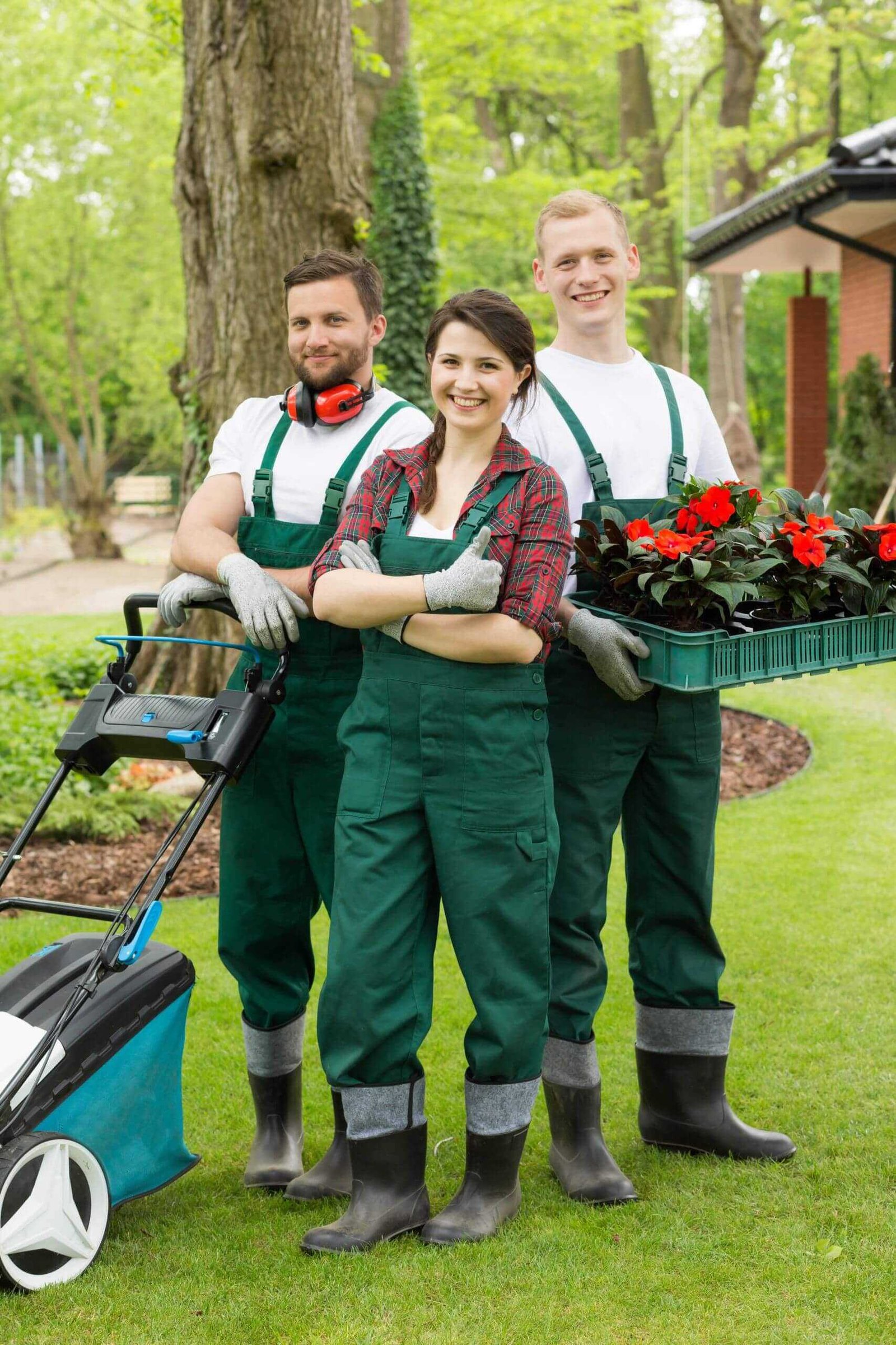 Photo of Future landscaping LLC