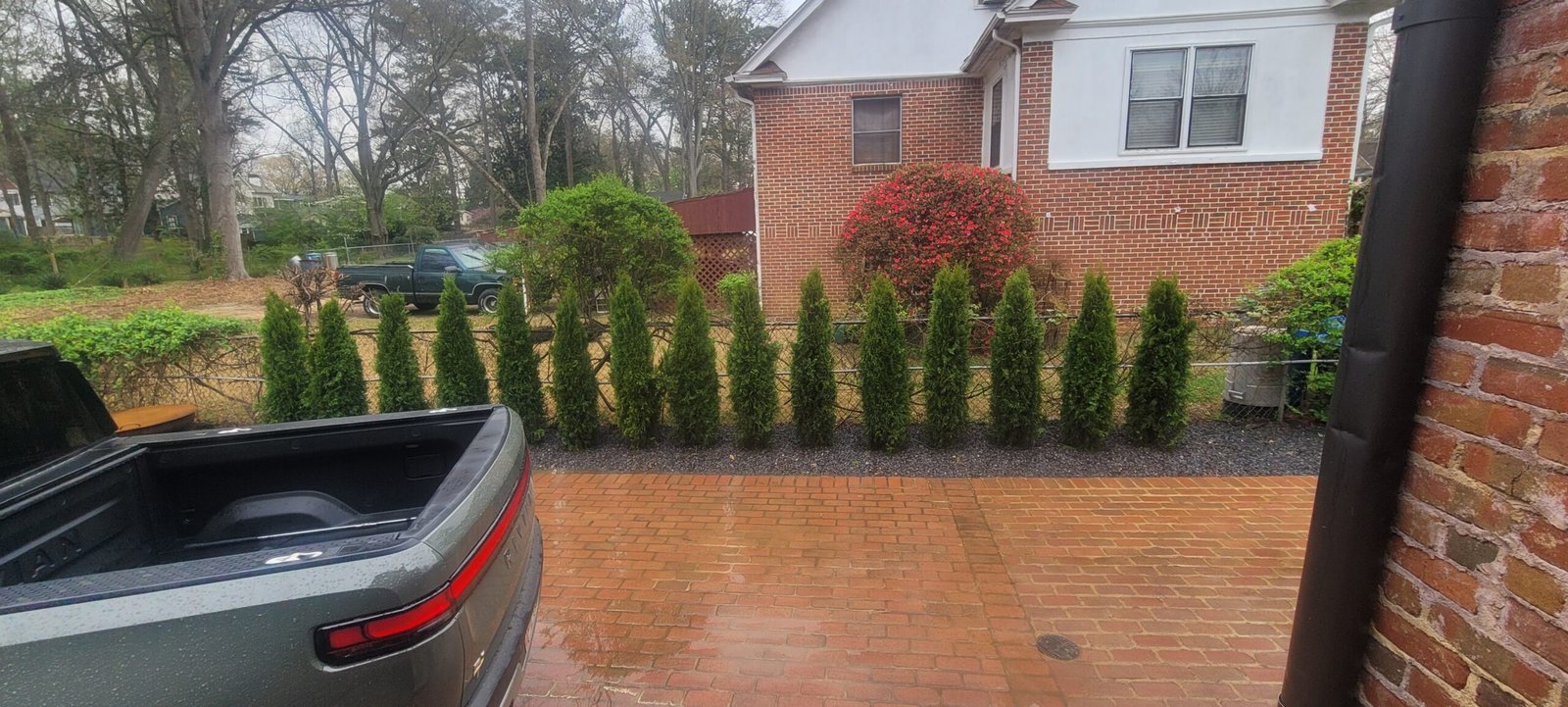 Future landscaping LLC tree service work