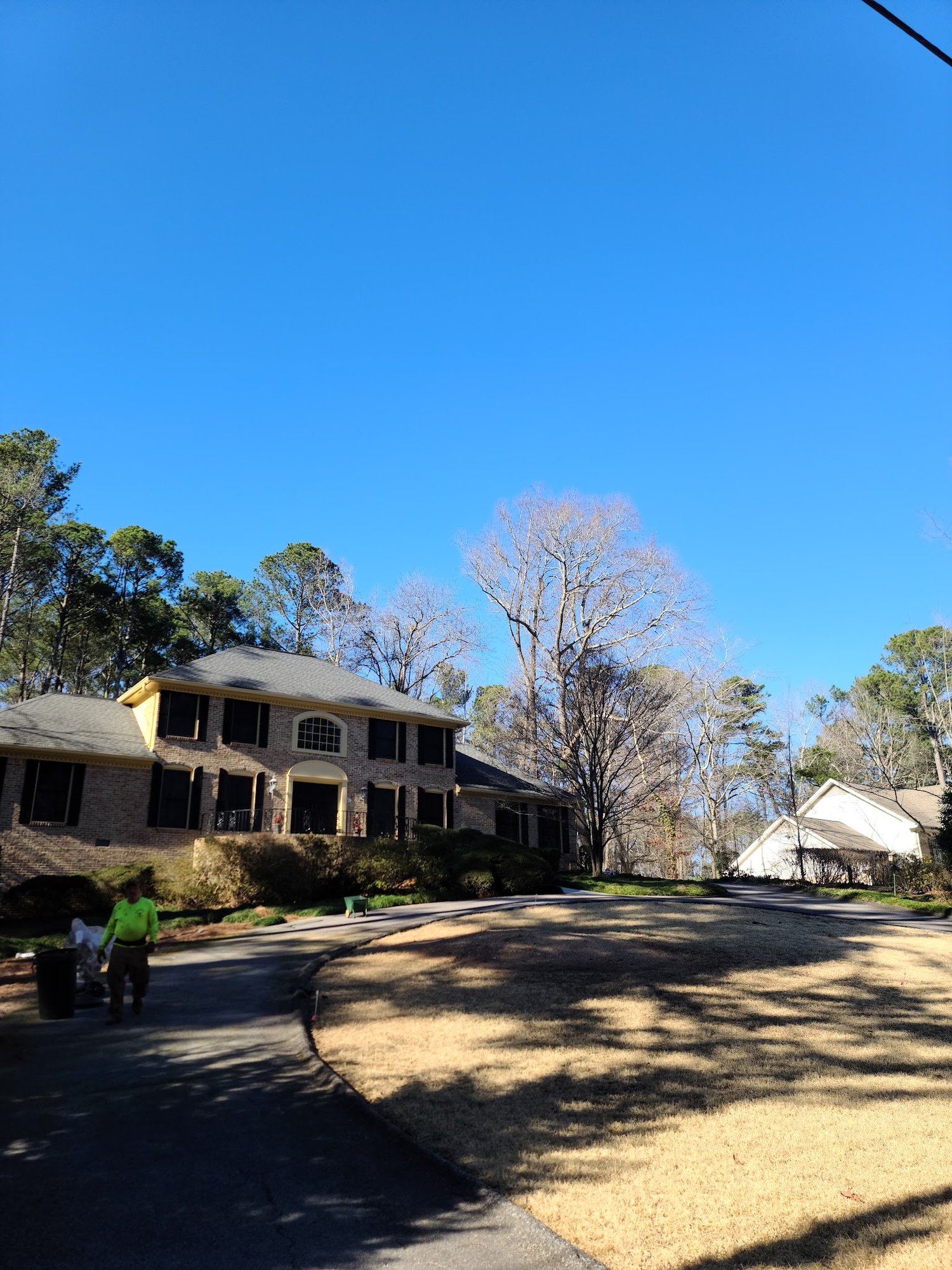 Atlanta tree job
