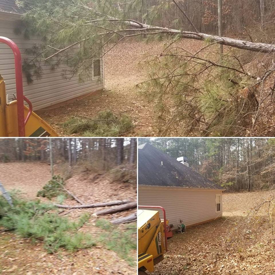 Storm cleanup pine on house