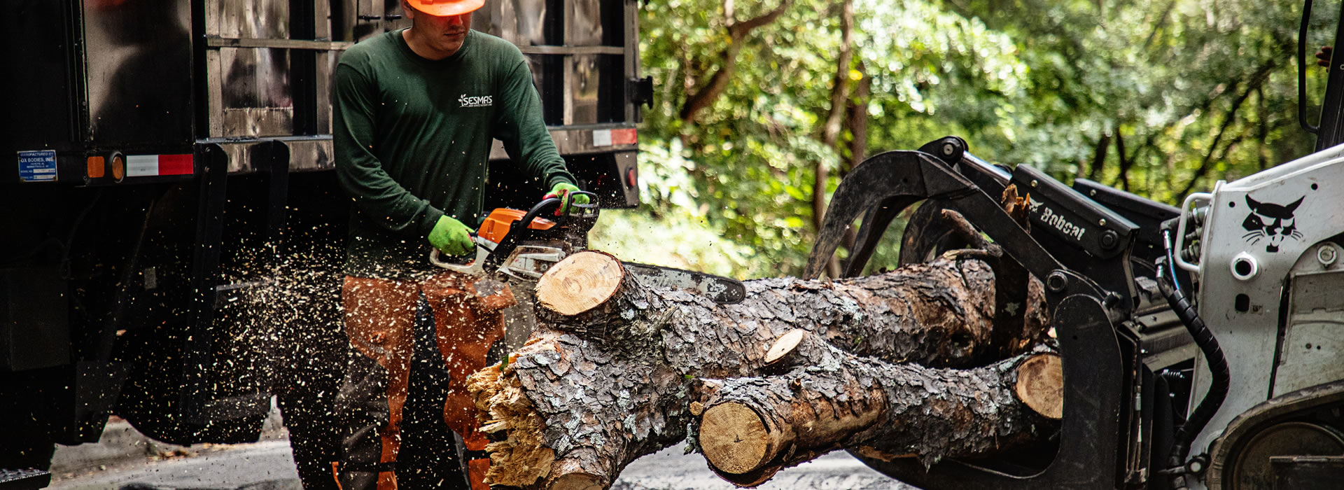 Photo of Sesmas Tree Service of Cumming