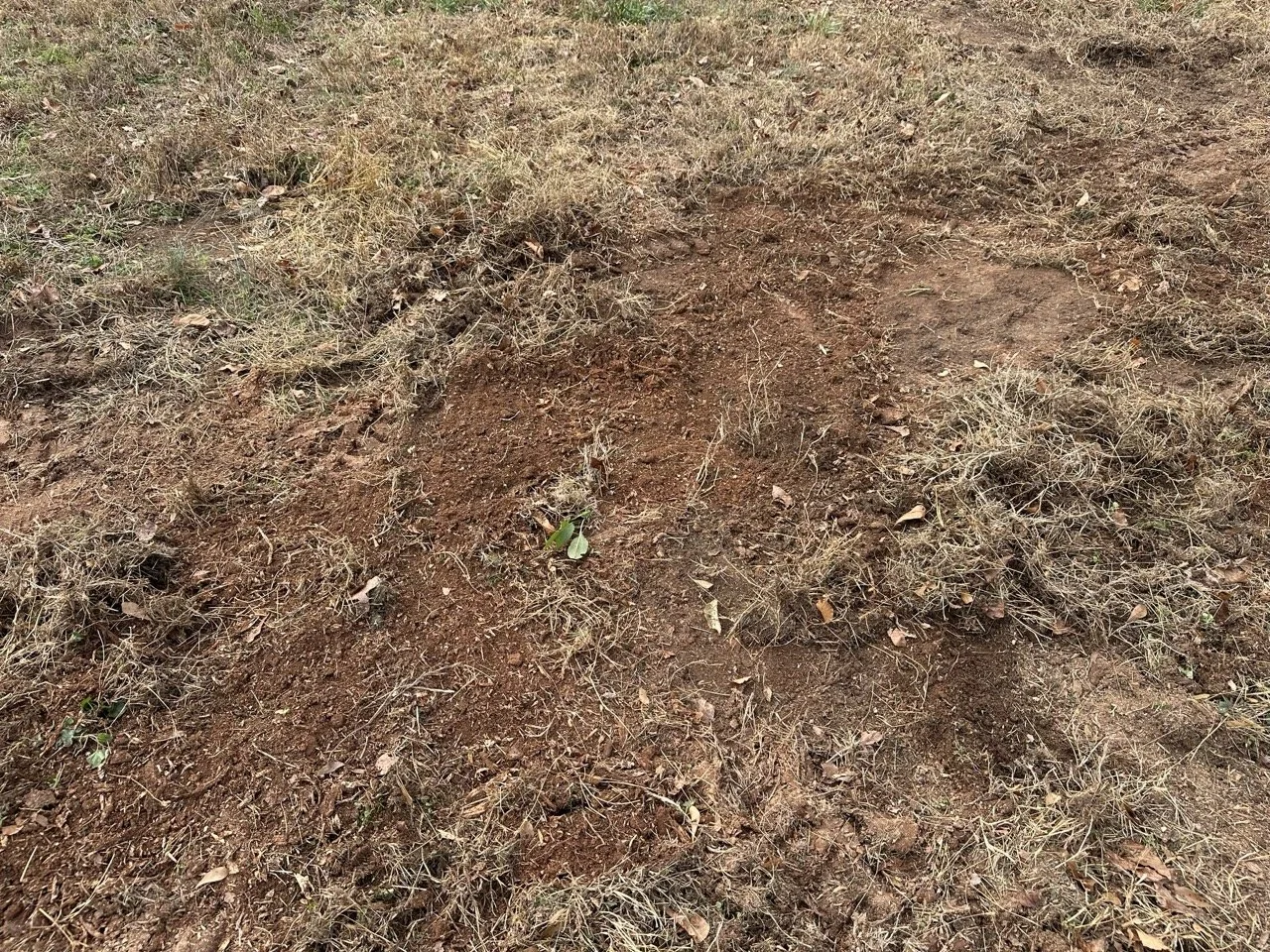 Photo of Stump Works