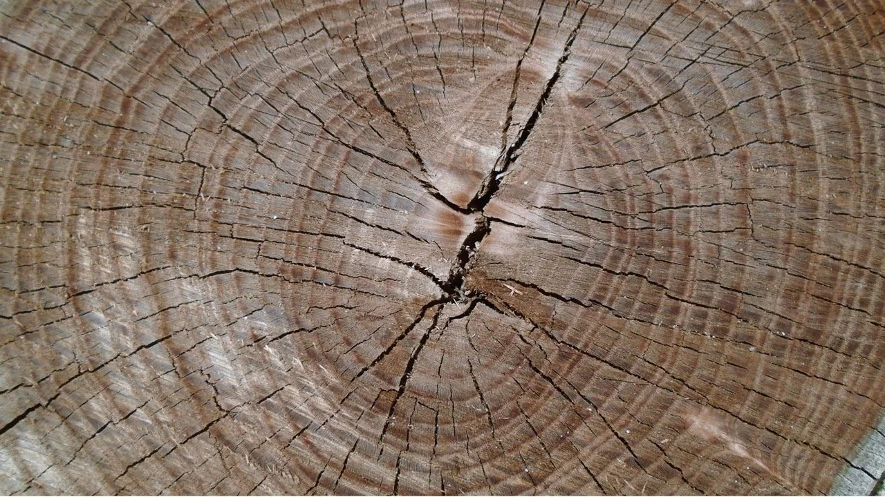 Stump+Works+Hero+%281%29+Large