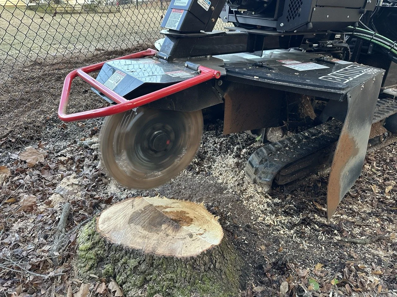 Stump+before+2a+Large