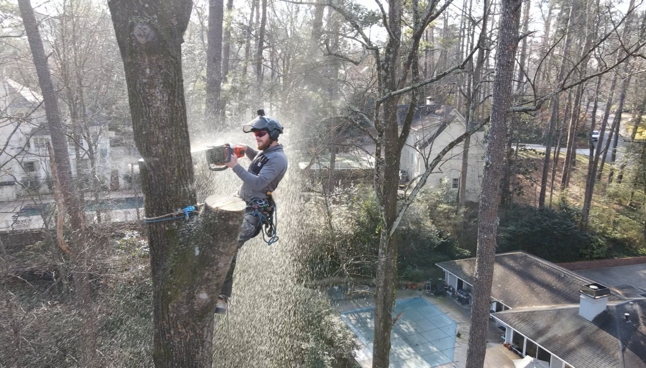 Tree trimming hero georgia tree masters 1233w
