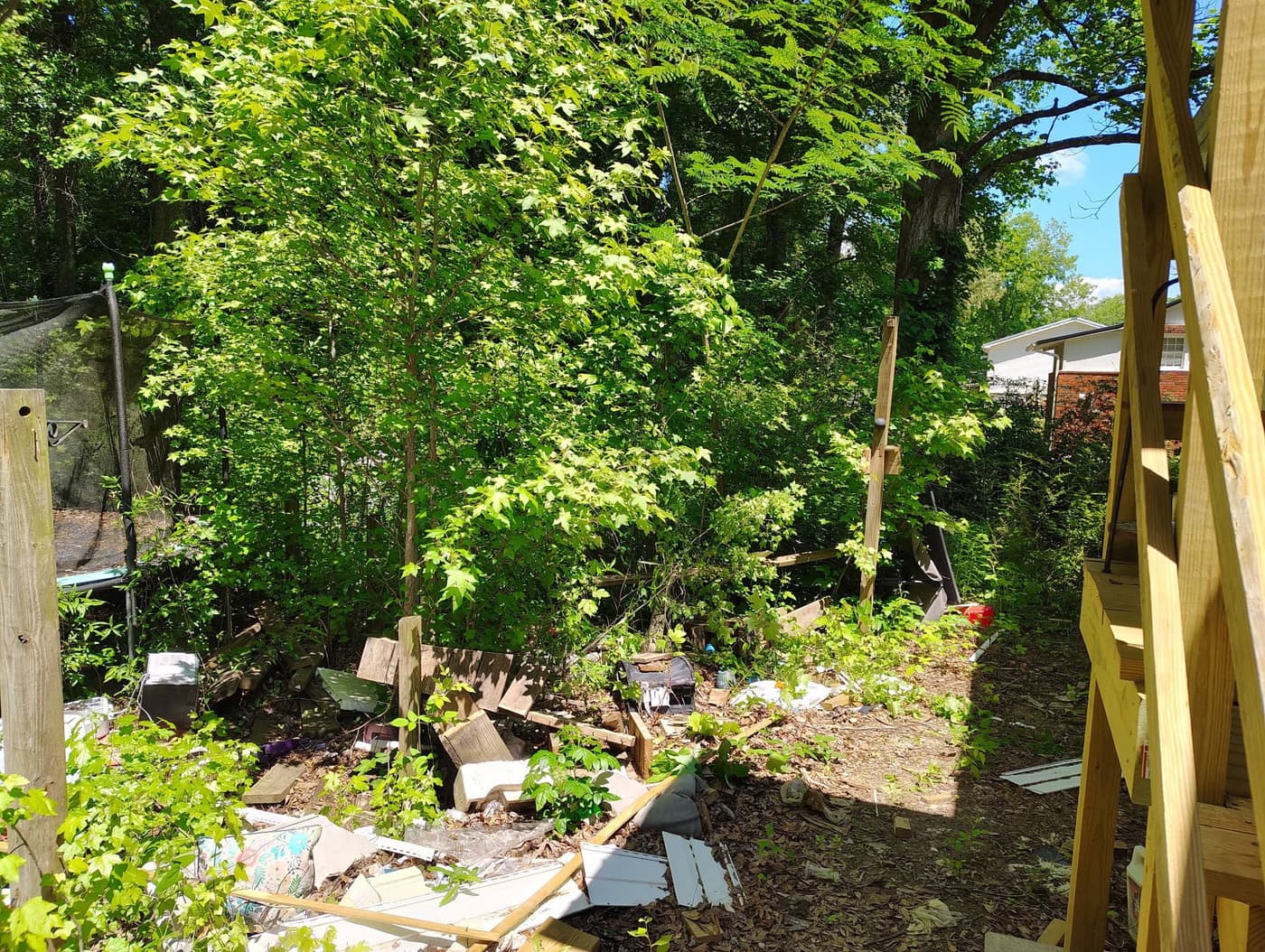 Ba woods before