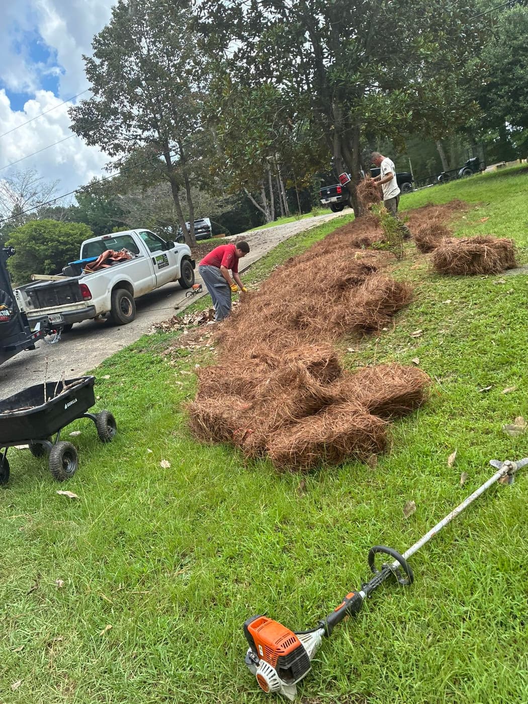 Pine straw crew