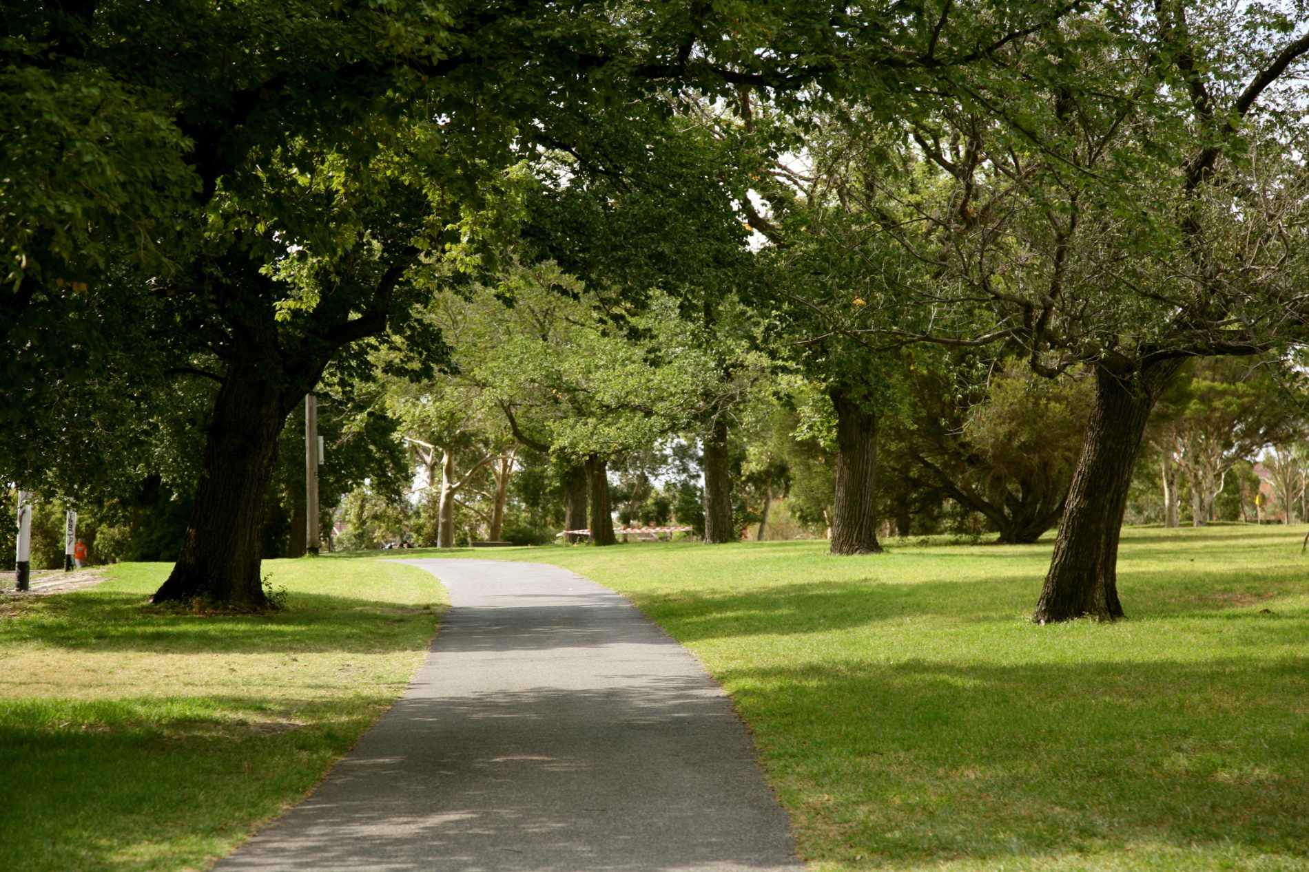 Photo of Billy's Affordable Tree Service