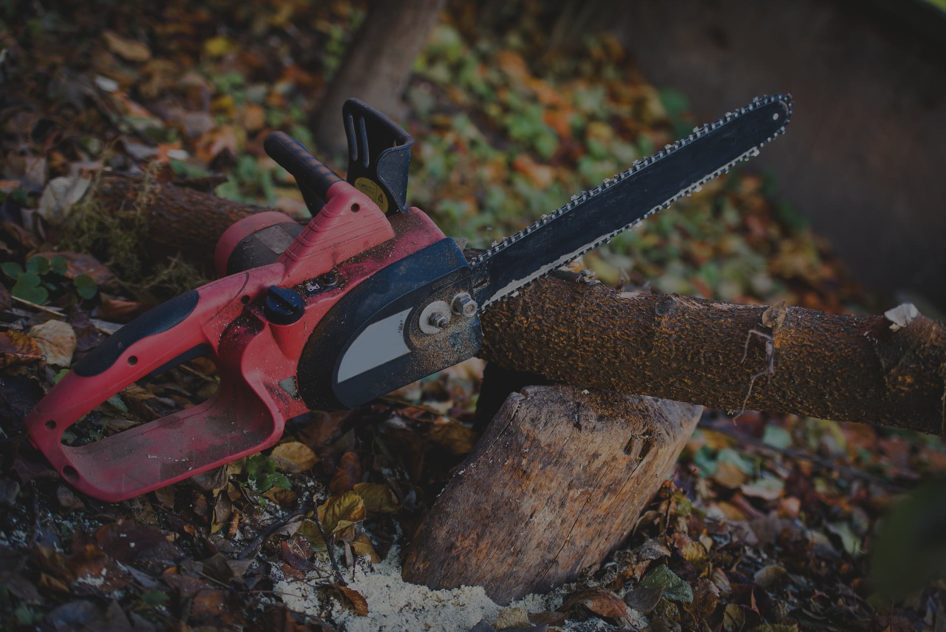 Billy's Affordable Tree Service tree service work