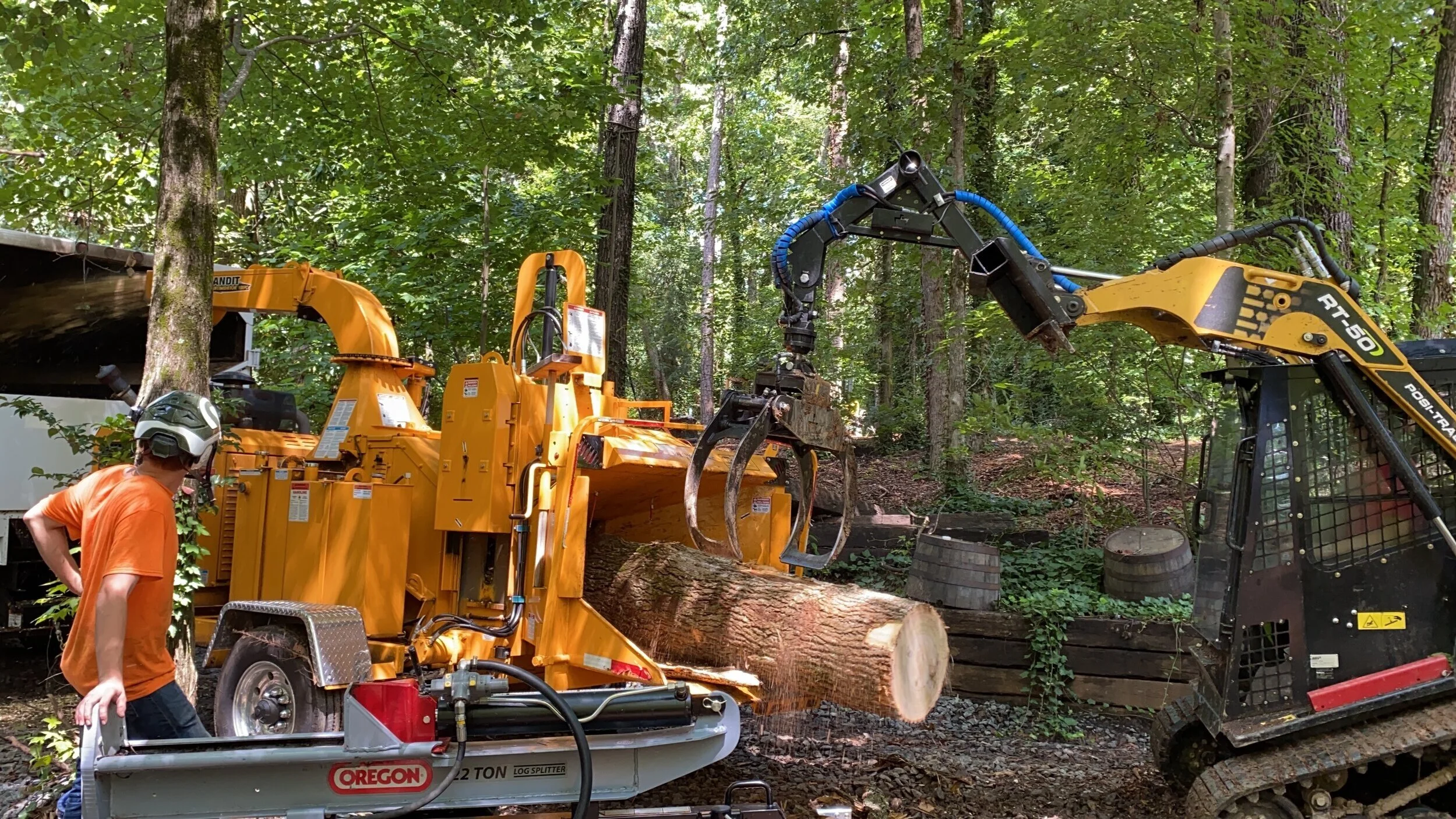 Sarty Tree Service tree service work