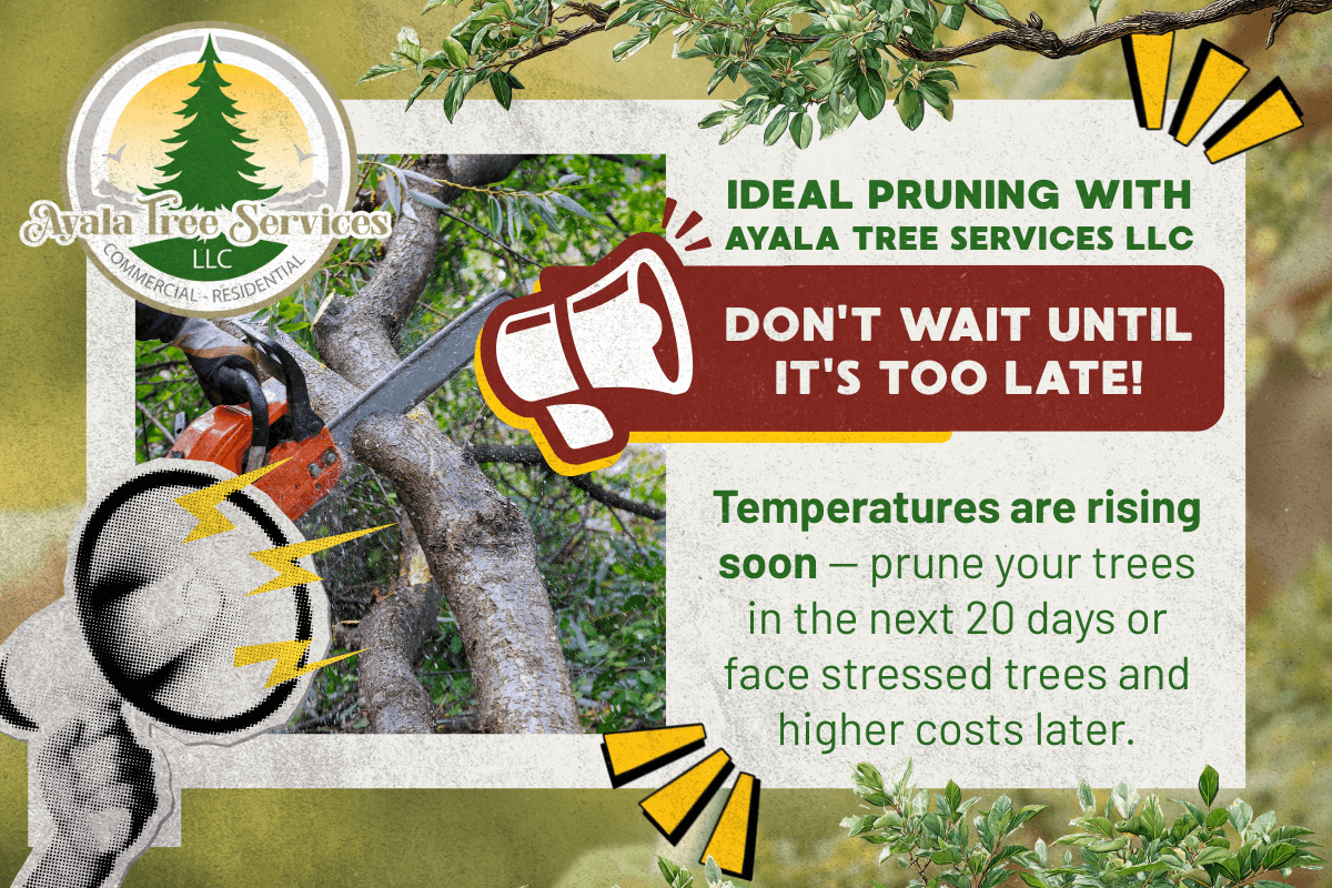 Photo of Ayala Tree Services LLC