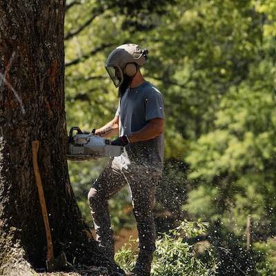 Tree%20removal%20service