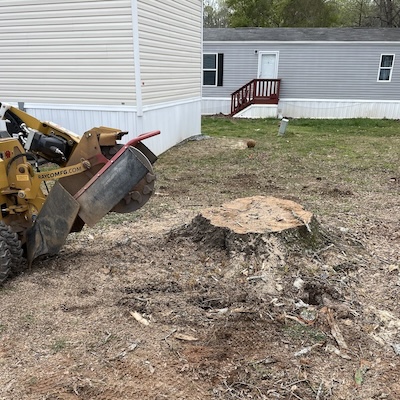 Stump%20grinding%20photo