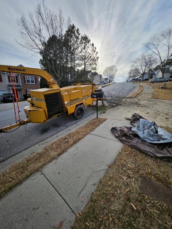 Photo of Tree Cutters of America