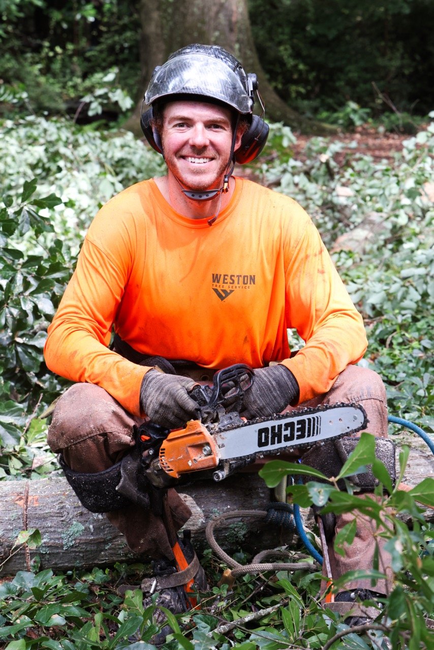 Photo of Weston Tree Service