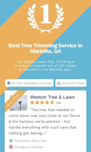 Weston Tree Service tree service work