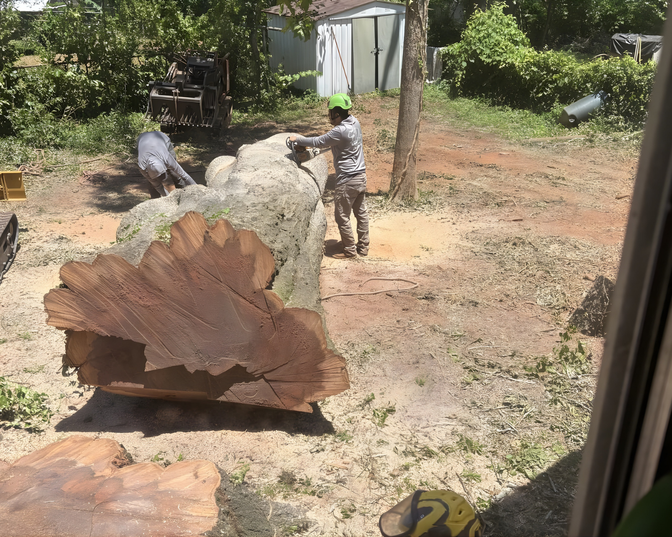 Stump Grinding Removal