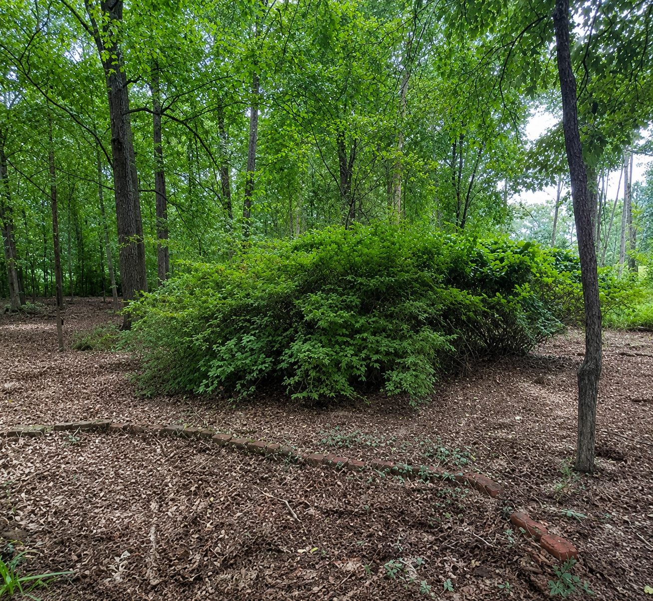 Photo of Goldy Property Solutions LLC