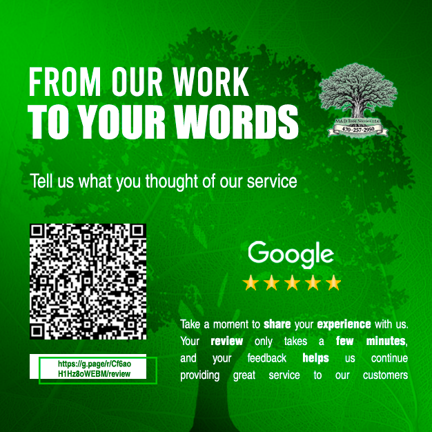 Photo of M & D Tree Services LLC
