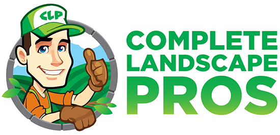 Pros