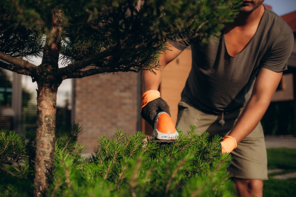 Hedge trimming job gardener with gasoli utc