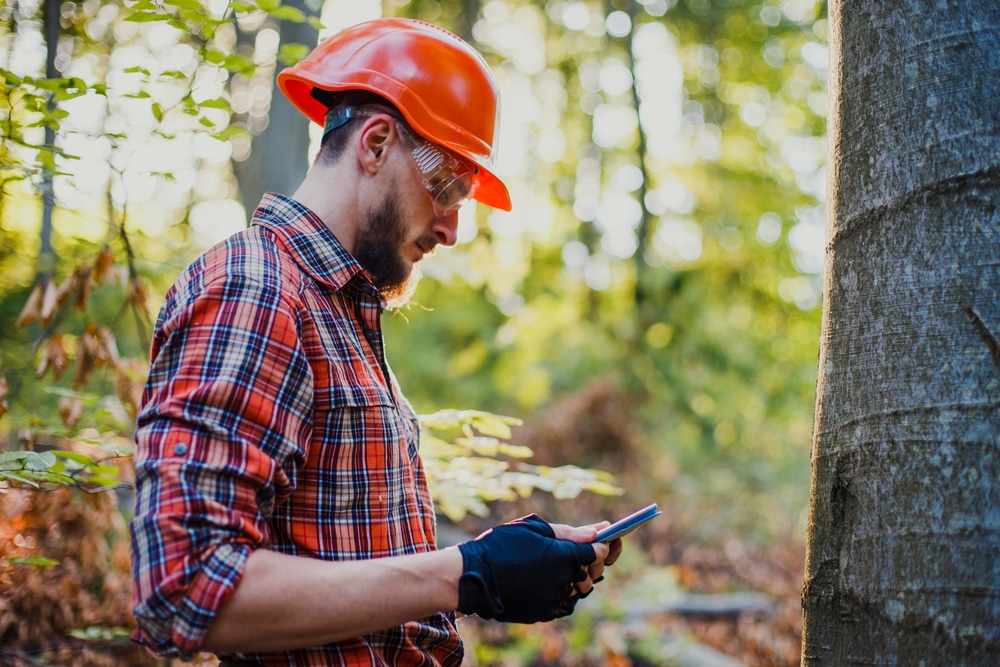 Arborist