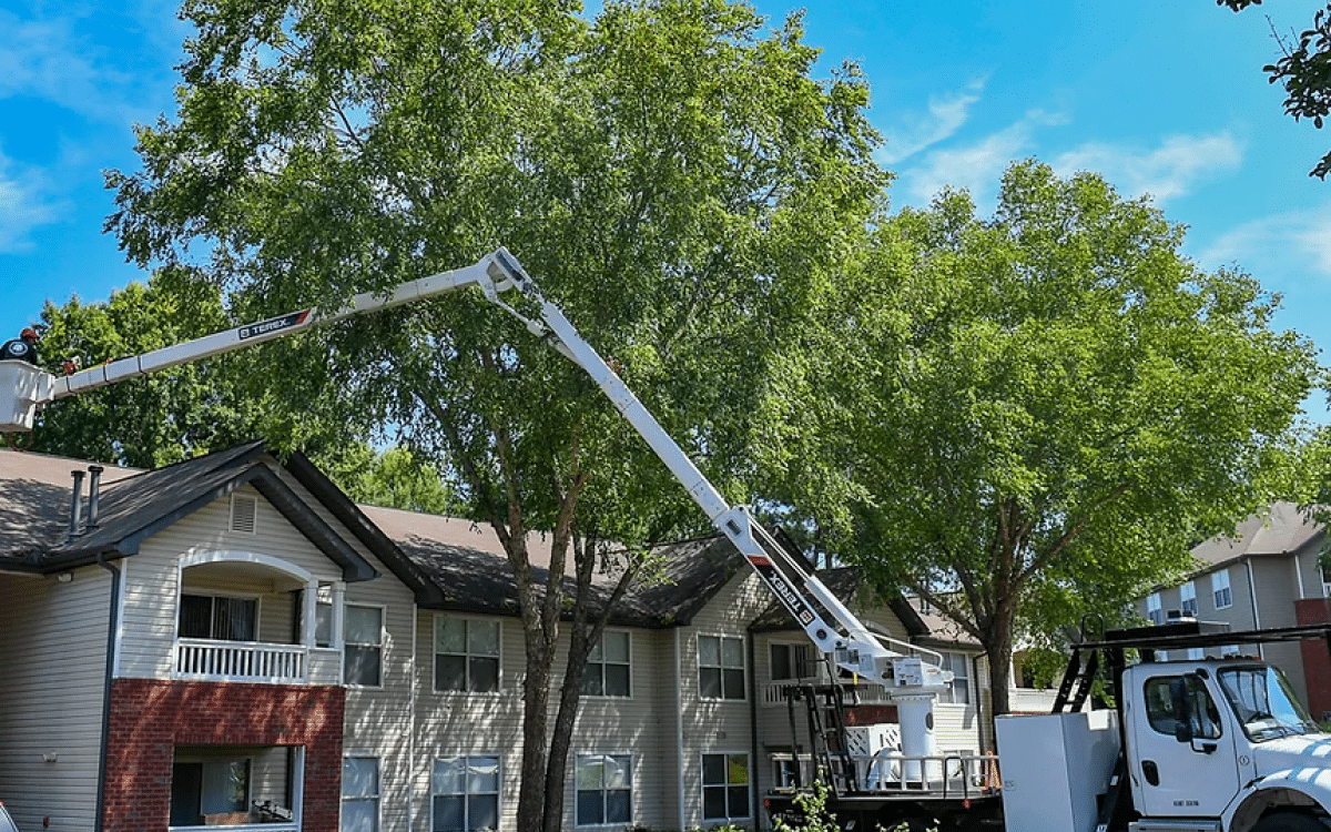 Photo of Pelfrey Tree Service