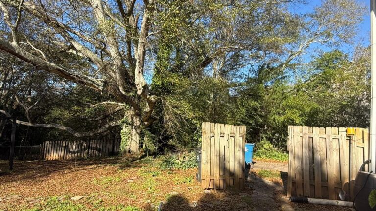 Professional Guys Tree Services LLC tree service work