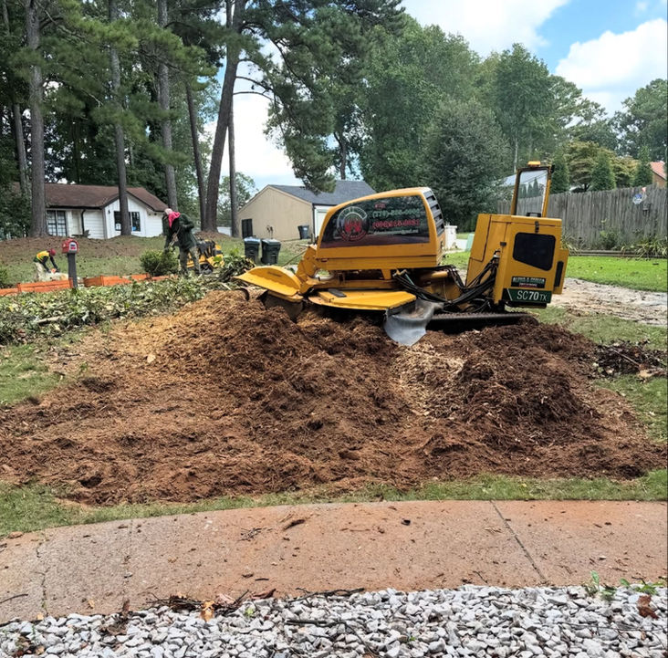 Photo of Alpha and Omega Tree Service
