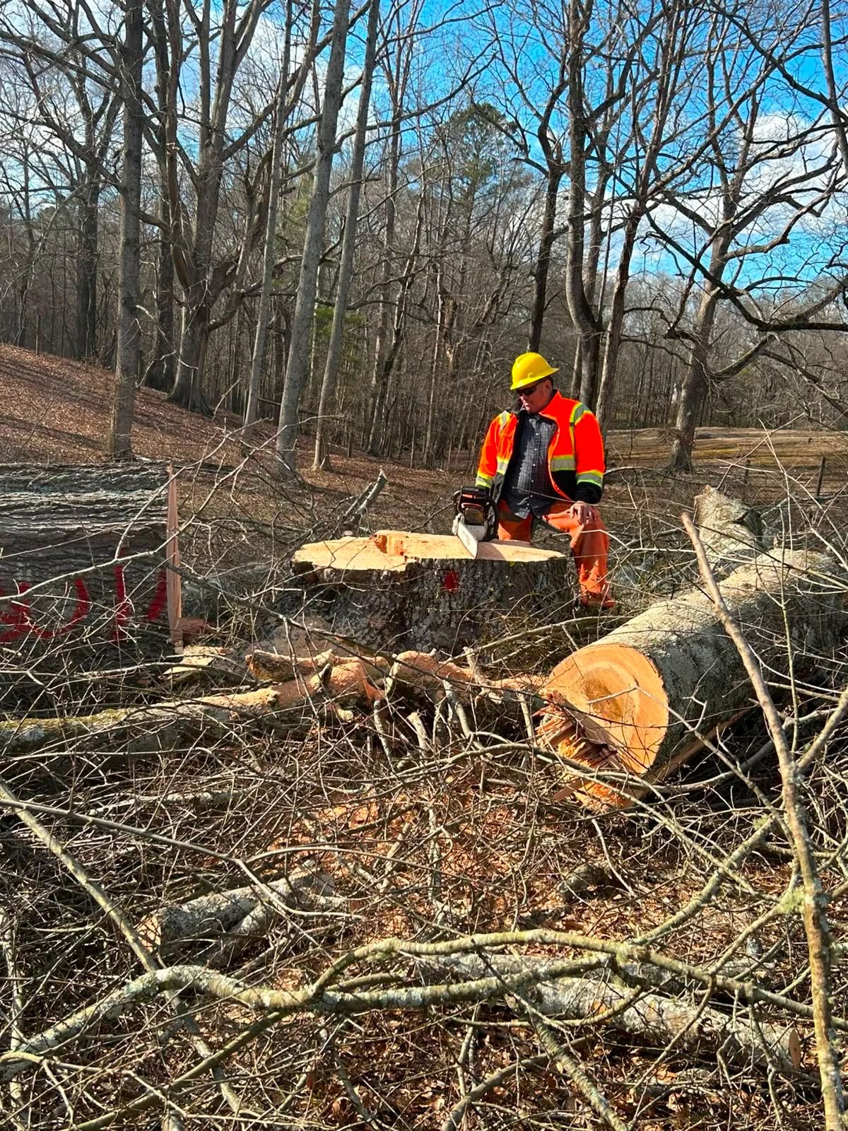 Photo of ALBY Tree Service LLC