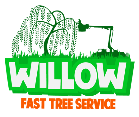 Cropped Willow nuevo arbol