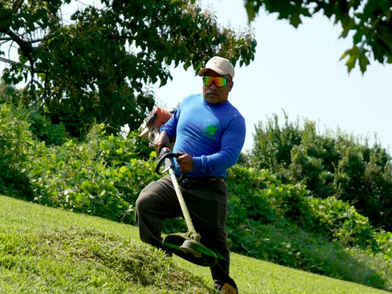 Lawncrew