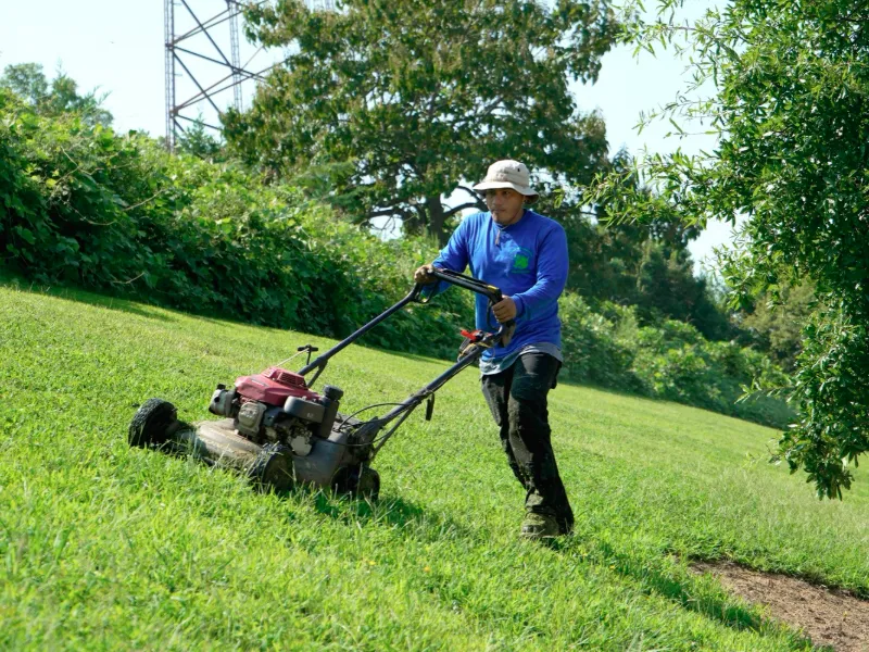 Photo of Affordable Landscaping Services LLC