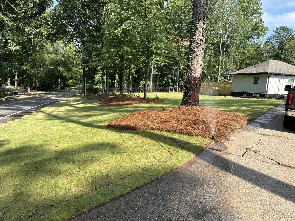 Stephens Family Landscaping tree service work