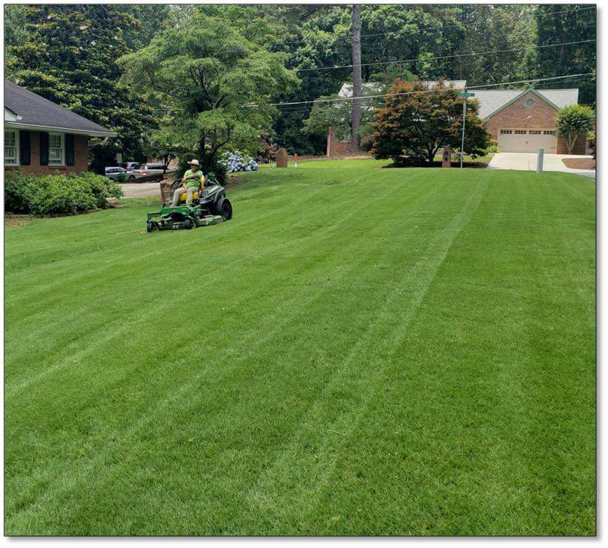 Smith Property Care tree service work