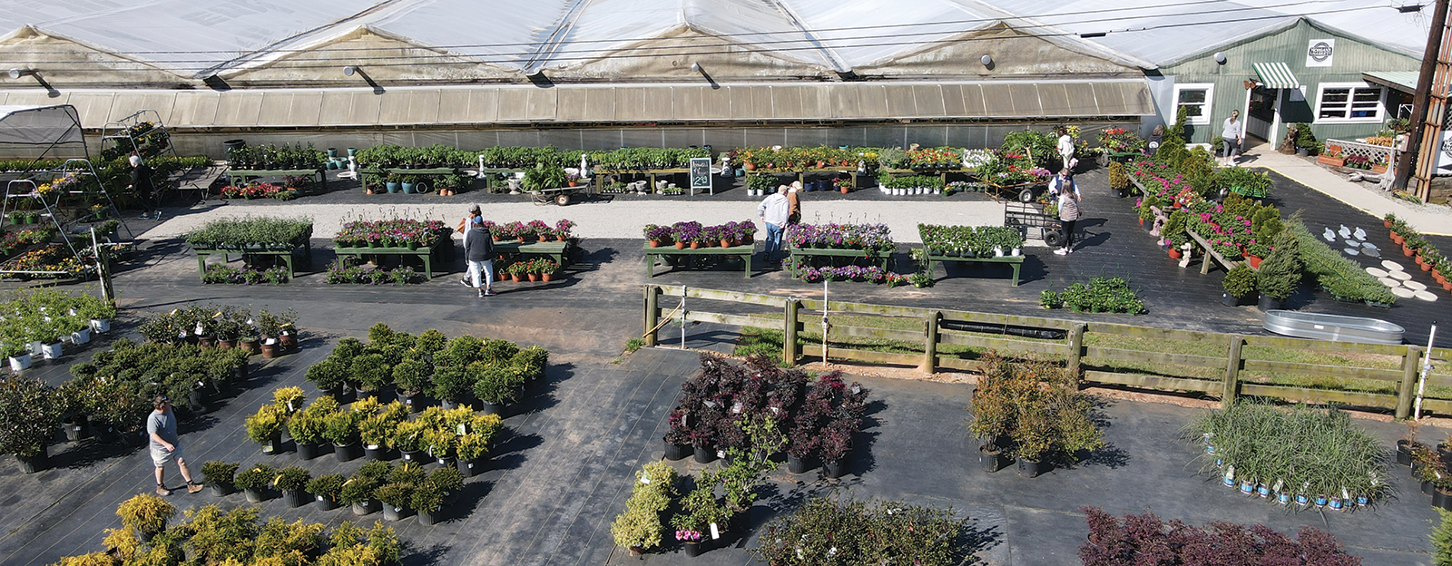Home Yard