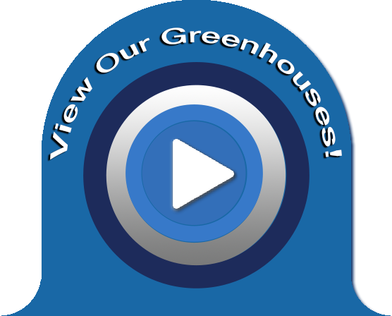 Watch video button copyx