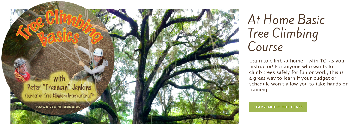 Photo of Tree Climbers International