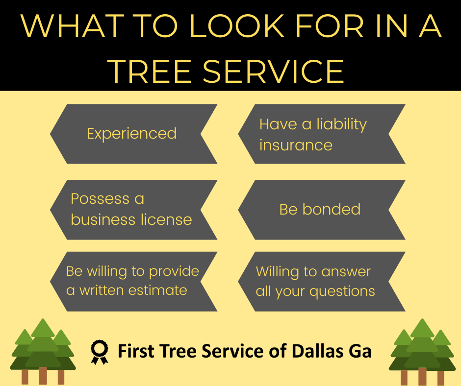 First+Tree+Service+of+Dallas+GA 703w
